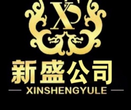 新盛游戏Logo
